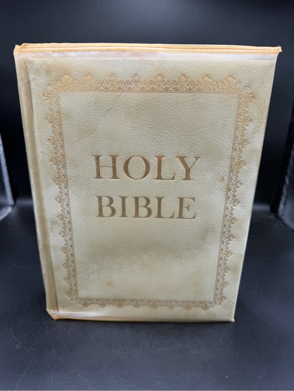 Vtg Holy Family Bible KJV 1961 W/Full-Color Illustrations Of The Old Masters